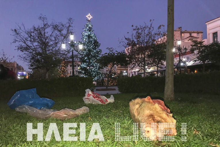 Φωτογραφία-σοκ: Πέταξαν γουρουνοκεφαλή έξω από το Δημαρχείο του Πύργου